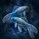 Pisces Facts APK