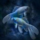Pisces Facts-icoon