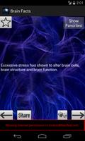 Brain Facts ポスター