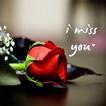 ”I Miss You