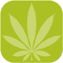 Dankstagram APK