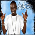Akon Songs 2016 ícone