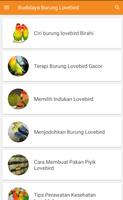 Budidaya Burung Lovebird screenshot 1