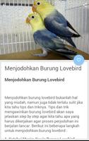 Budidaya Burung Lovebird capture d'écran 3