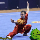 Melhor Estratégia Básica de Exercício de Kung Fu ícone
