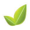 Eco Elite Limo APK
