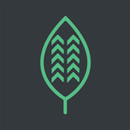 EcoLux APK