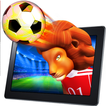 Wild Soccer 3D