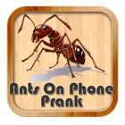 Ants On Phone Prank आइकन