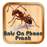 Ants On Phone Prank icône