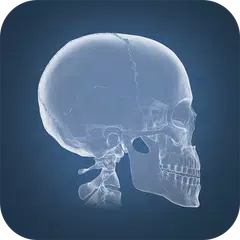 Anatomy 4D アプリダウンロード