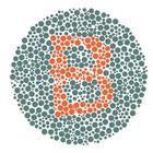 Memory Color Blind icon