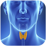 ”مرض الغدة الدرقية و الصماء‎