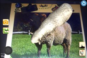 الحيوانات الأليفة ภาพหน้าจอ 1