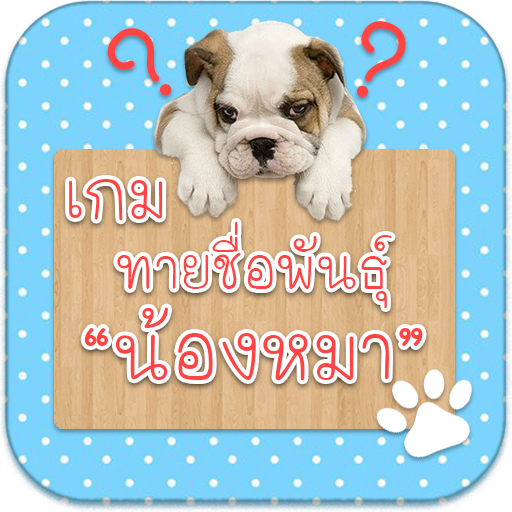 เกมทายปริศนา น้องหมาน่ารัก