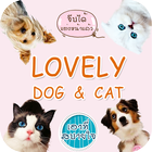 Lovely Dog and Cat 아이콘