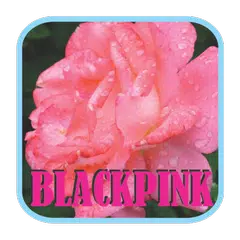 BLACKPINK - Boombayah Mp3 アプリダウンロード