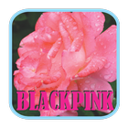 BLACKPINK - Boombayah Mp3 アイコン