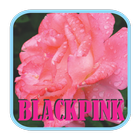 BLACKPINK - Boombayah Mp3 icon