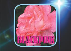 BLACKPINK - Boombayah Mp3 اسکرین شاٹ 1