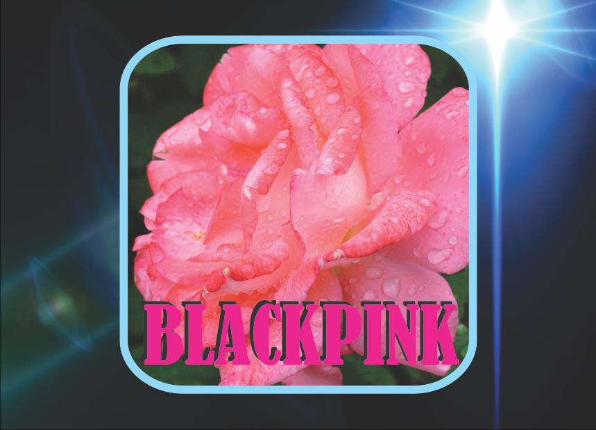 BLACKPINK - Boombayah Mp3 APK for Android Download