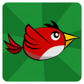 Rocket Bird