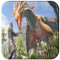 Tips Of Dark and Light Game