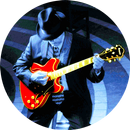 APK BLUES MUSIC | 100 RADIO