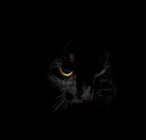 Wallpaper Dark Animal ảnh chụp màn hình 1