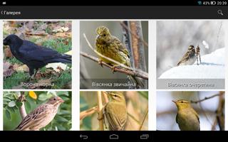 Птицы Украины Screenshot 3
