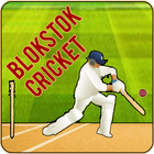 Blokstok Cricket ikon