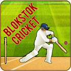 Blokstok Cricket أيقونة