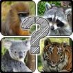 Guess The Animals: Quiz