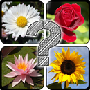 Guess The Flowers: Quiz APK