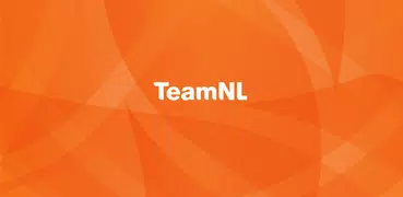 TeamNL - Video analysis