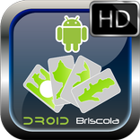 Briscola HD