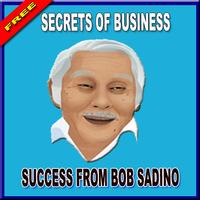 Rahasia Sukses Bisnis ala Bob Sadino Poster