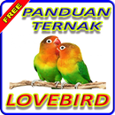 APK Panduan Ternak Lovebird 100% GOAL