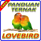 Panduan Ternak Lovebird icône