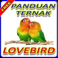 Poster Panduan Ternak Lovebird