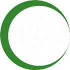 VGS иконка