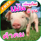 คำคมอ้วน คำคมน่ารัก คำคมกวนๆ-icoon