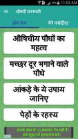 Herbs For Health In Hindi / औषधी वनस्पती Affiche