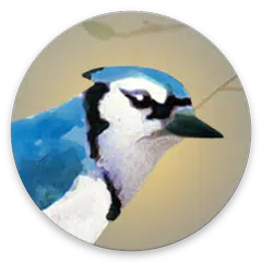 Скачать Dawn Chorus APK