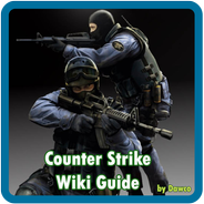 Counter-Strike (series), Counter-Strike Wiki