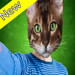 Animal Face Party Effects