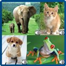 Animal Sounds APK