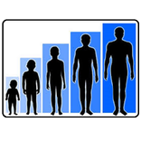 Cara Cepat Meninggikan Badan