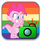 Pony Little Camera icon