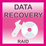Data Recovery Raid icône